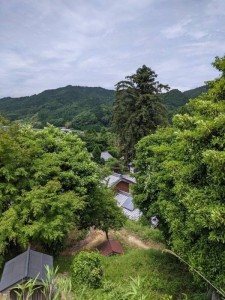 伊賀の里／滝仙寺2